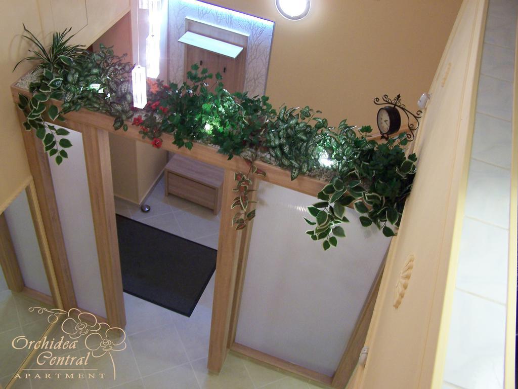 Orchidea Apartman *