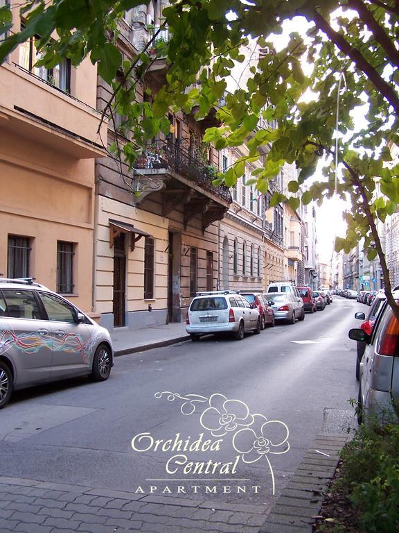 Orchidea * Budapešť